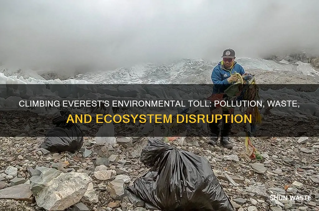 why is climbing mount everest bad for the environment