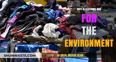 The Hidden Environmental Cost of Our Wardrobe Choices