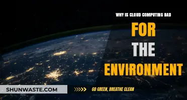 Cloud Computing's Dark Side: Environmental Costs and Sustainability Concerns