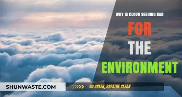 Cloud Seeding's Environmental Impact: Unintended Consequences and Ecological Risks