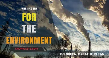 Carbon Monoxide's Environmental Impact: Harmful Effects and Sustainable Solutions