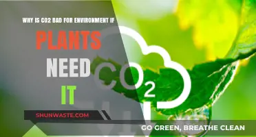 CO2's Dual Role: Environmental Threat Despite Plant Dependence Explained