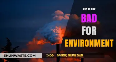 CO2's Environmental Impact: Uncovering the Harmful Effects on Our Planet
