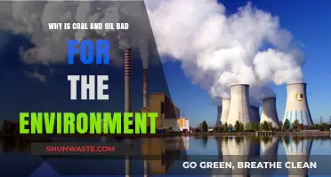 Coal and Oil's Environmental Impact: Pollution, Climate Change, and Destruction