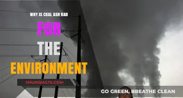Coal Ash's Toxic Legacy: Environmental Hazards and Long-Term Impacts