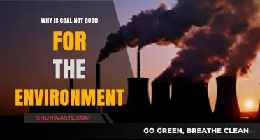 Coal's Environmental Impact: Pollution, Climate Change, and Ecosystem Destruction Explained