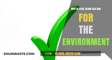 Coal Seam Gas: Environmental Risks and Ecological Consequences Explained