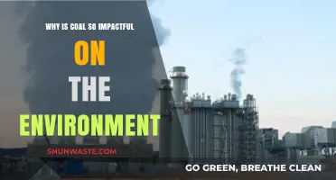 Coal's Environmental Impact: Uncovering the Devastating Effects on Our Planet