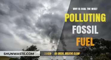 Coal's Dirty Secret: The Most Polluting Fossil Fuel Explained