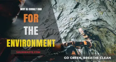 Cobalt's Environmental Impact: Uncovering Its Harmful Effects on Ecosystems