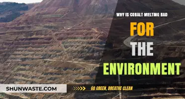 Cobalt Melting's Environmental Impact: Pollution, Habitat Loss, and Ecosystem Disruption