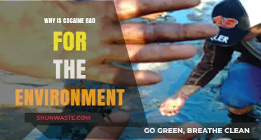 Cocaine's Hidden Cost: Environmental Destruction and Ecosystem Collapse Explained