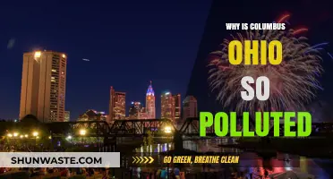 Columbus, Ohio's Pollution Crisis: Causes, Impacts, and Solutions
