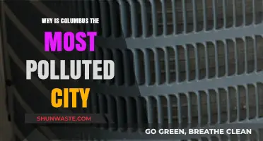Columbus's Air Quality Crisis: Uncovering the Causes of High Pollution
