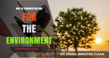 Combustion's Environmental Impact: Pollution, Climate Change, and Health Risks Explained