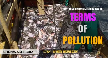 Commercial Fishing's Hidden Cost: Pollution's Devastating Impact on Our Oceans