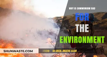 Communism's Environmental Downfall: How Central Planning Harms Nature