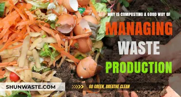 Sustainable Waste Management: The Benefits of Composting Explained
