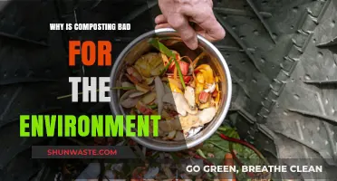 Composting's Dark Side: Environmental Drawbacks You Need to Know