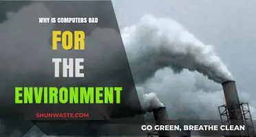 The Hidden Environmental Costs of Our Digital Computer Age