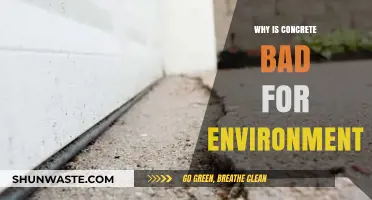 Concrete's Environmental Impact: Uncovering Its Hidden Ecological Costs
