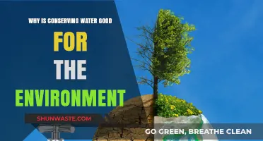 Water Conservation: Protecting Ecosystems, Saving Energy, and Sustaining Our Planet