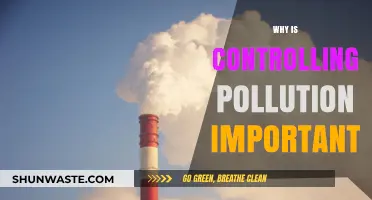 Controlling Pollution: Safeguarding Our Planet's Health and Future Generations