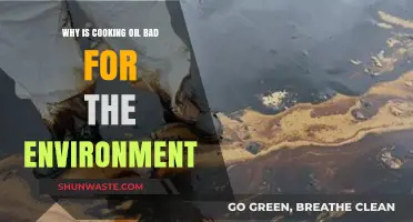 Cooking Oil's Hidden Environmental Impact: Pollution, Deforestation, and Waste