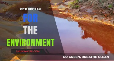 Copper's Environmental Impact: Pollution, Habitat Destruction, and Ecosystem Disruption