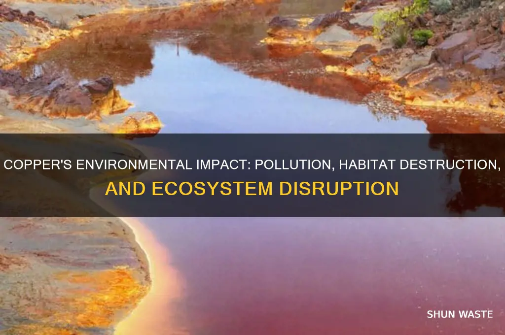 why is copper bad for the environment