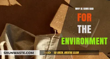 Cork's Environmental Impact: Uncovering the Hidden Harms of Harvesting