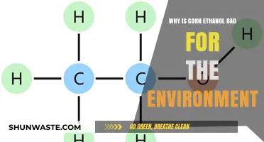 Corn Ethanol's Environmental Impact: Unsustainable Practices and Hidden Costs