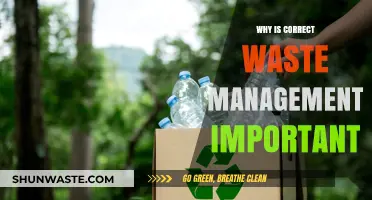 Sustainable Futures: The Critical Role of Proper Waste Management