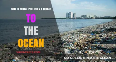 Coastal Pollution's Devastating Impact: A Growing Threat to Ocean Health