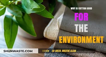 Cotton's Eco-Friendly Impact: Sustainable Benefits for a Greener Planet