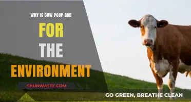 Cow Manure's Environmental Impact: Uncovering the Hidden Ecological Consequences