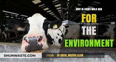 Cow's Milk Environmental Impact: Uncovering Dairy's Hidden Ecological Footprint