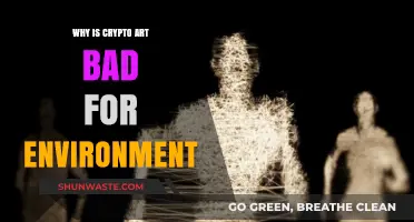 Crypto Art's Dark Side: Environmental Impact and Sustainability Concerns