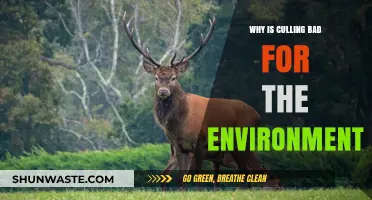 Culling's Environmental Impact: Harmful Consequences for Ecosystems and Biodiversity