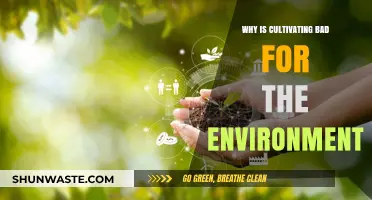 Cultivating Crops: Uncovering the Hidden Environmental Costs of Agriculture