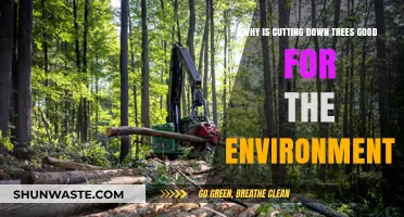 Sustainable Logging: How Controlled Tree Harvesting Benefits Ecosystems