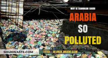 Dammam's Pollution Crisis: Causes, Impacts, and Urgent Solutions Needed