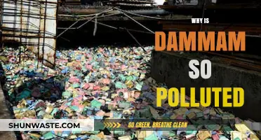 Dammam's Pollution Crisis: Causes, Impacts, and Urgent Solutions Needed