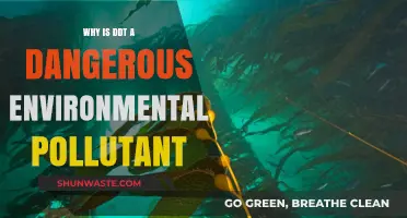 DDT's Toxic Legacy: Uncovering Its Devastating Environmental Impact