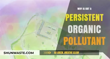 DDT's Environmental Impact: Understanding Its Persistent Organic Pollutant Status