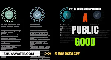 Clean Air, Shared Benefits: Why Reducing Pollution is a Public Good