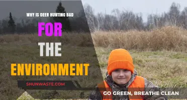 Deer Hunting's Environmental Impact: Harmful Consequences for Ecosystems and Wildlife