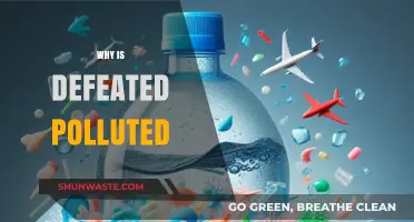 Defeated's Pollution Crisis: Uncovering Causes and Urgent Solutions