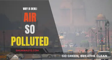 Delhi's Air Pollution: Understanding the Crisis