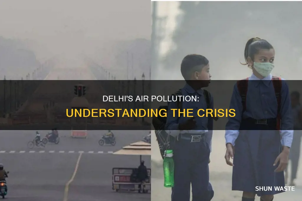 why is dehli air so polluted